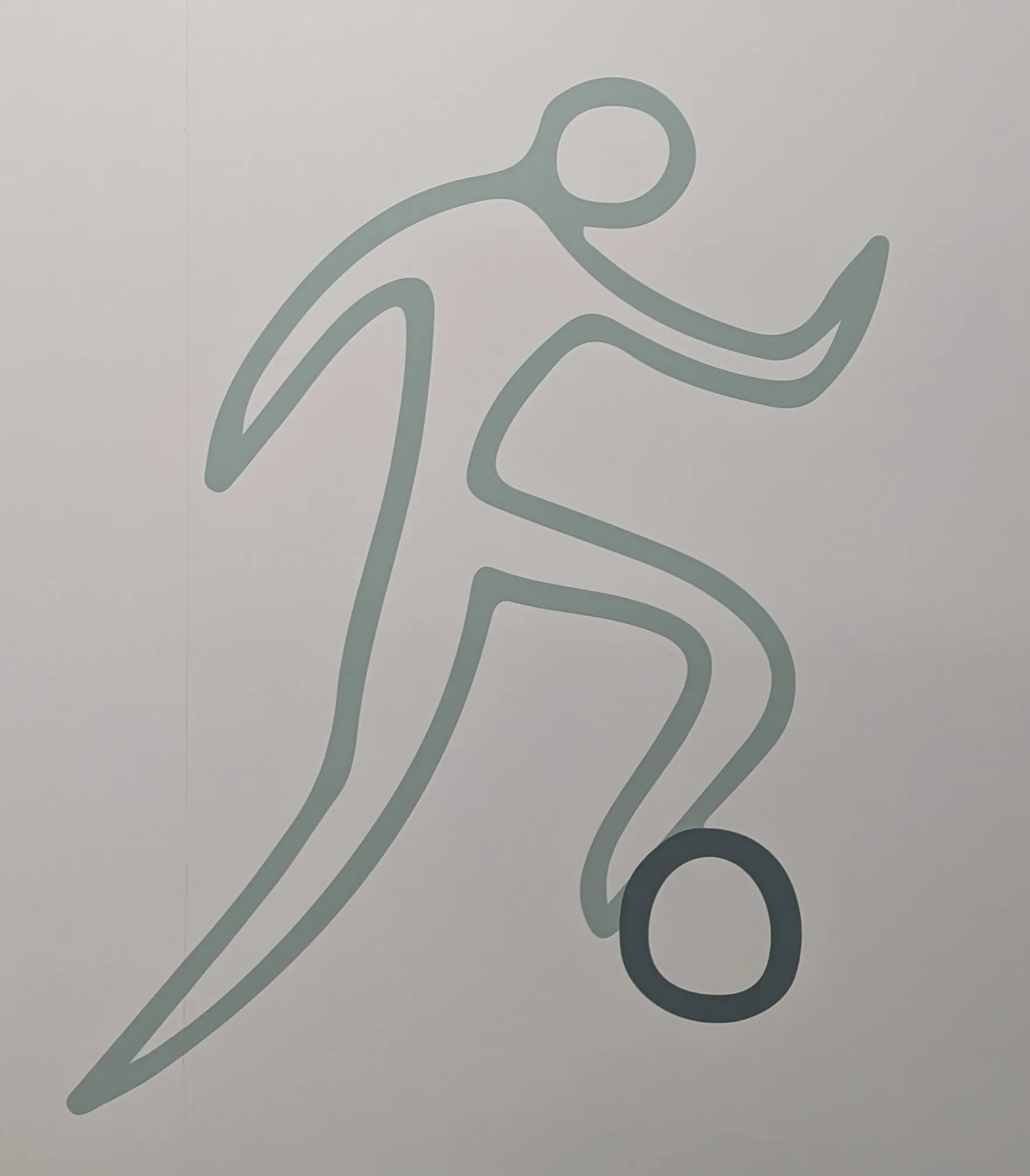 A person kicking a football