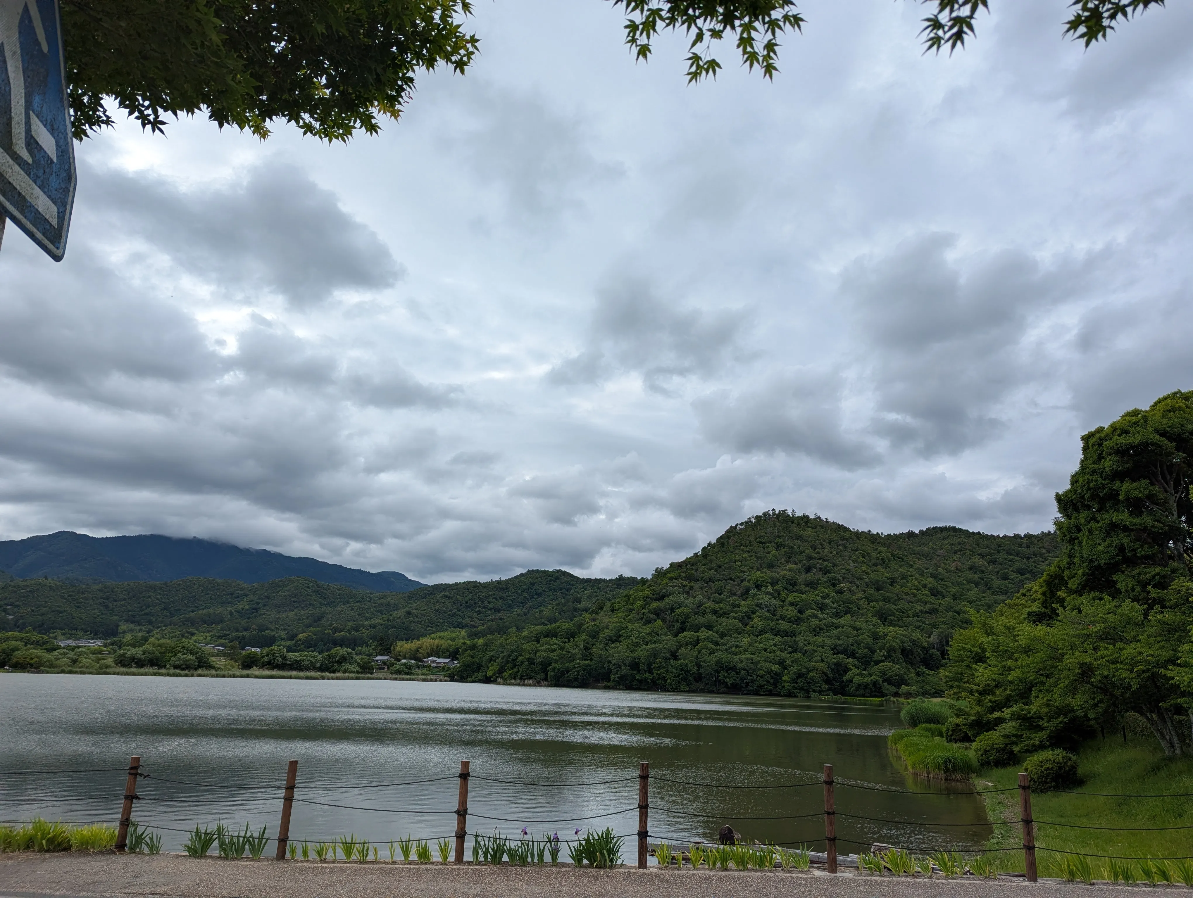 A lake surrounded by trees on a cloudy day