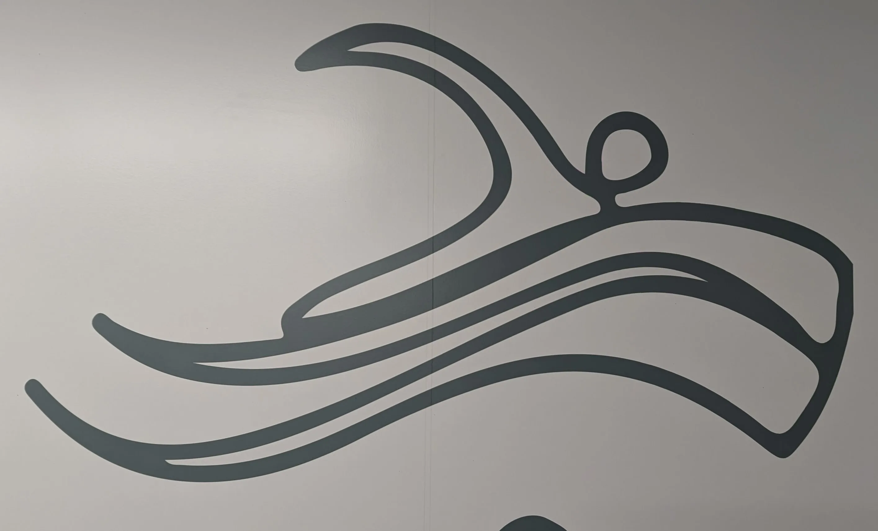 A swimmer